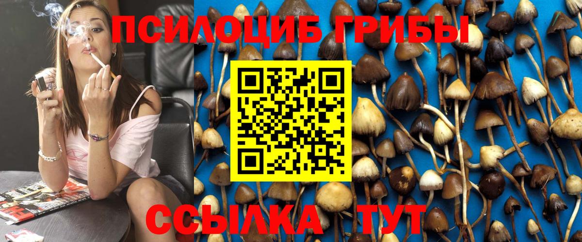 Каменск-Уральский  Галлюциногенные грибы Magic Shrooms  Вход с VPN 