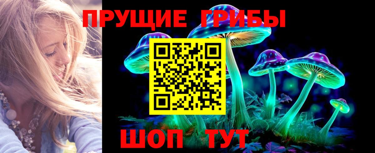 Псилоцибиновые грибы GOLDEN TEACHER Каменск-Уральский