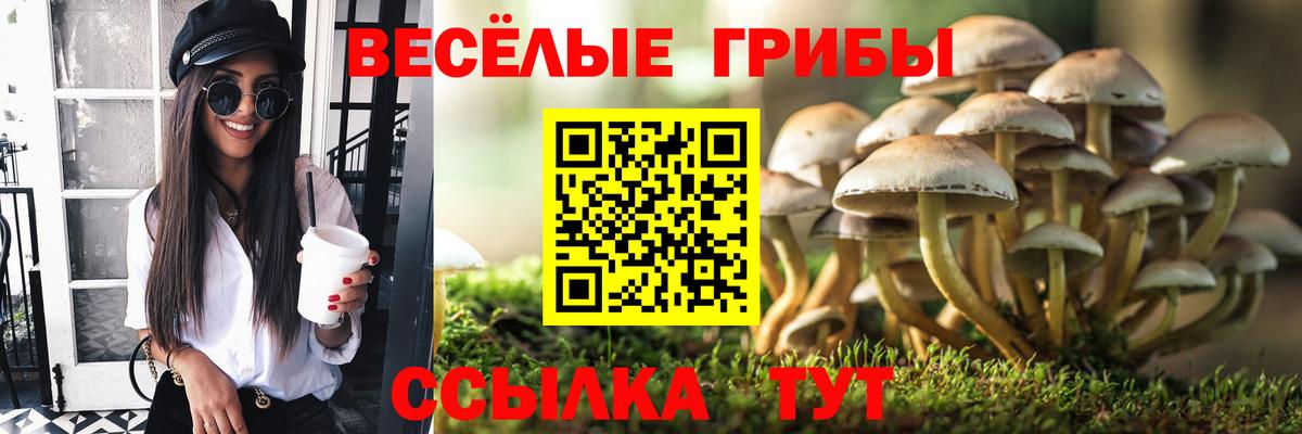МЕТАМФЕТАМИН Каменск-Уральский
